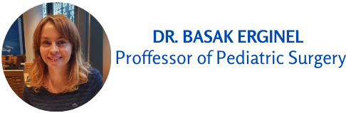 Prof. Dr. Başak Erginel